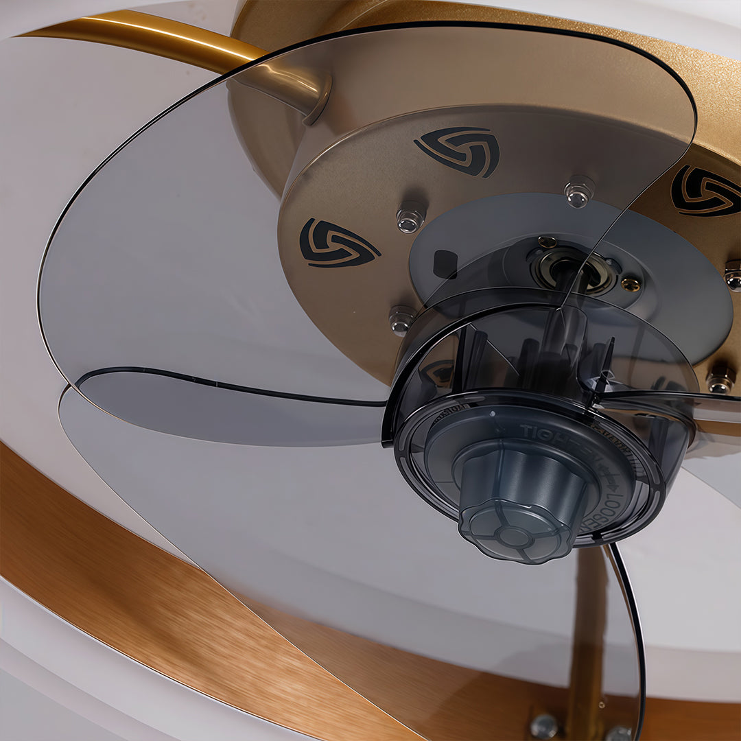 Gold Ceiling Fan with Light Dimmable Modern LED Light