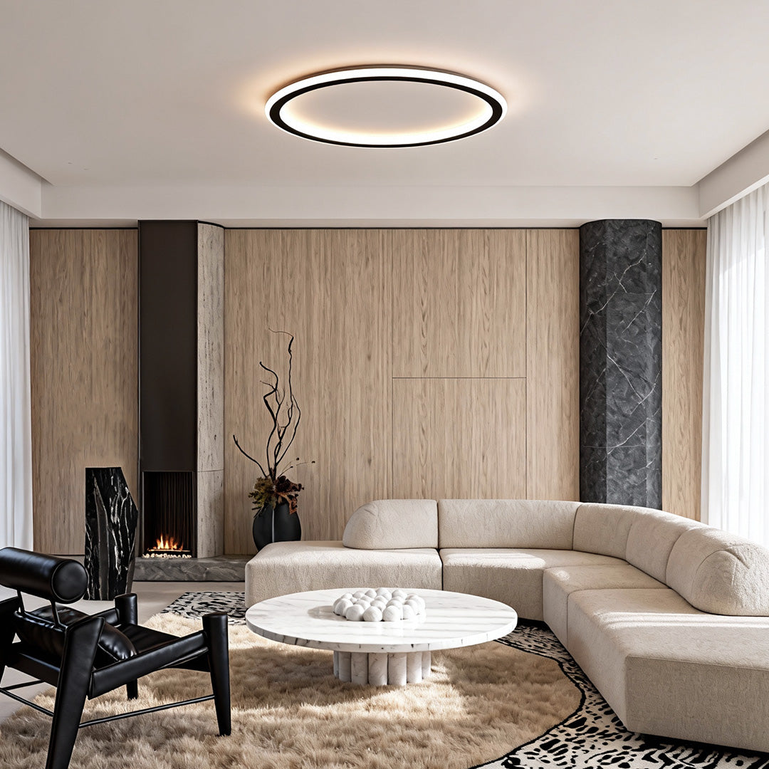 LED Circle Ceiling Lamp Simple Acrylic Metal Light