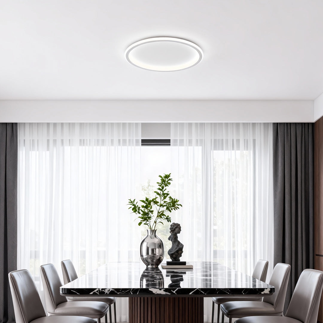 LED Circle Ceiling Lamp Simple Acrylic Metal Light