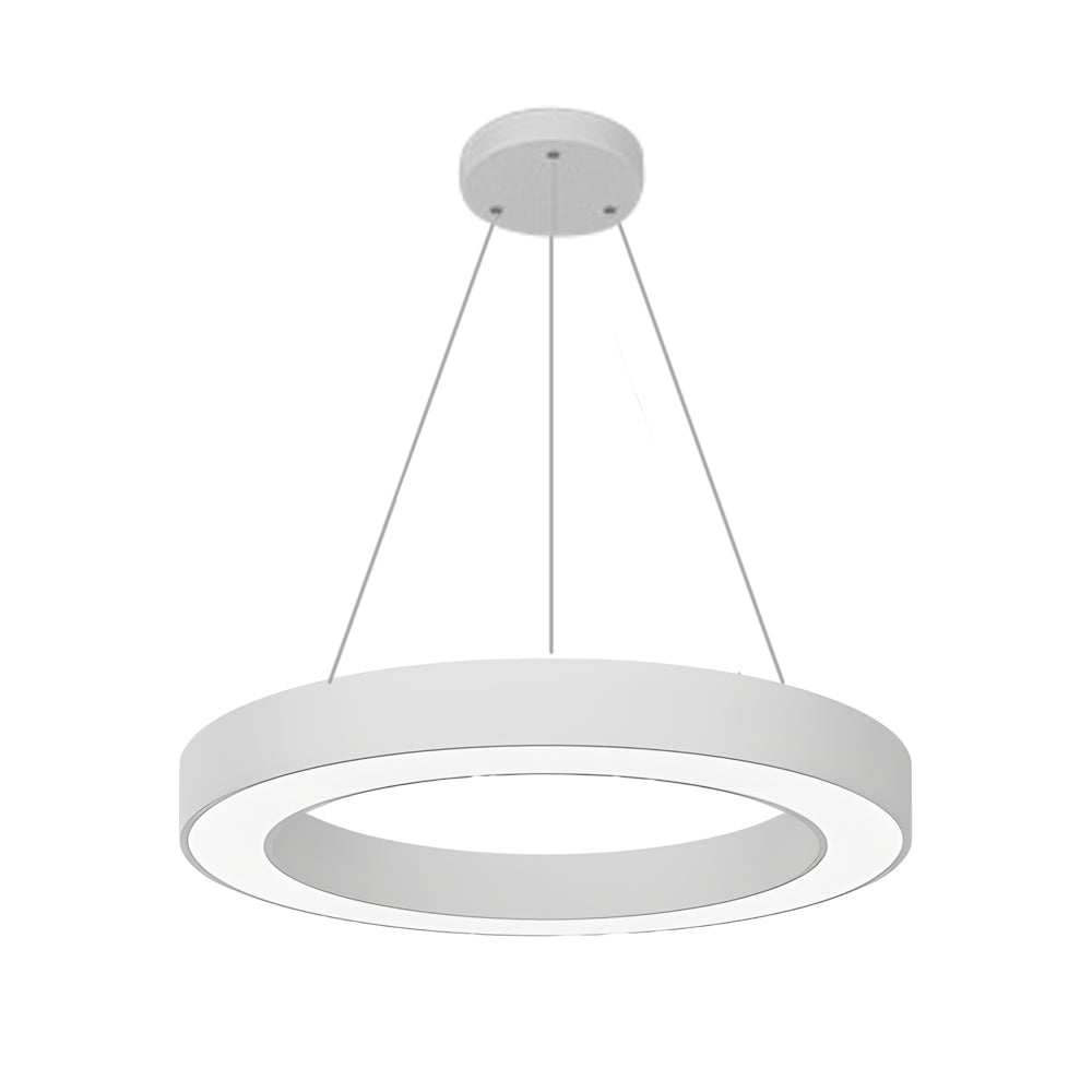 LED Pendant Ring Ceiling Light Modern Metal Acrylic Light
