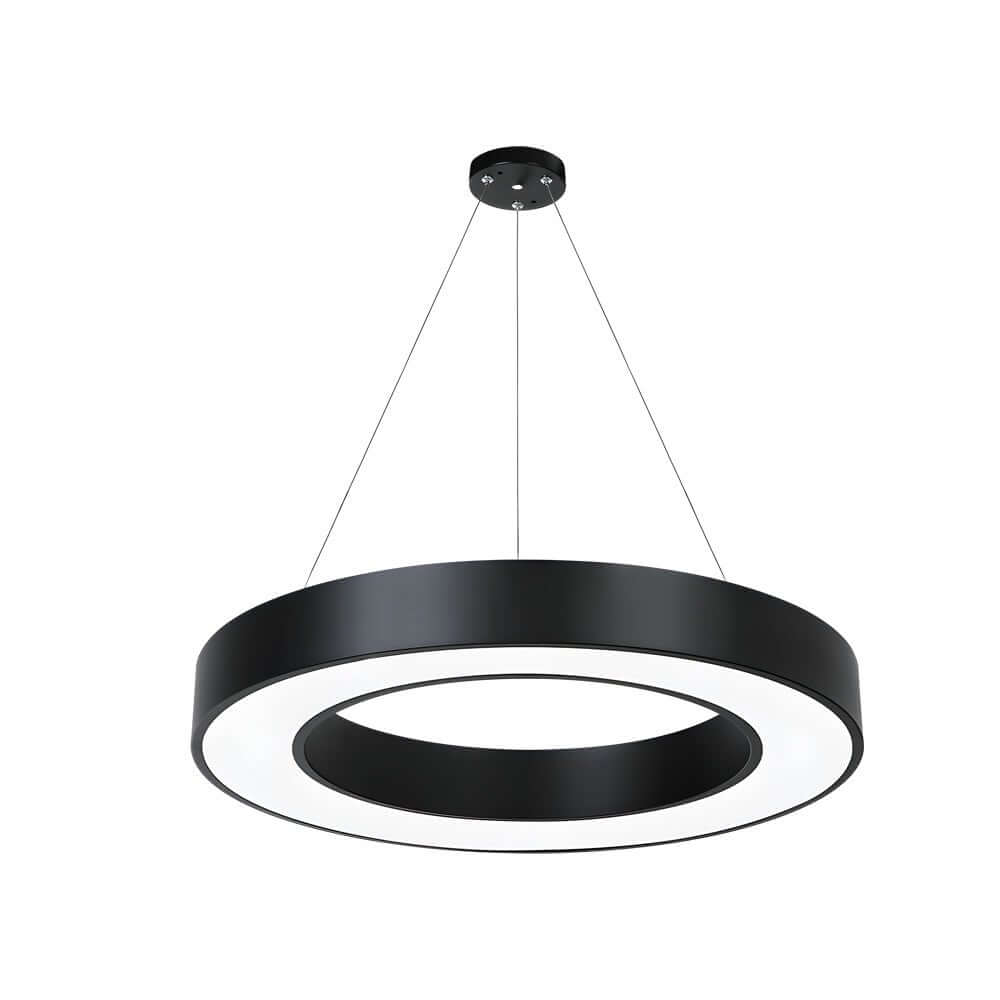 LED Pendant Ring Ceiling Light Modern Metal Acrylic Light