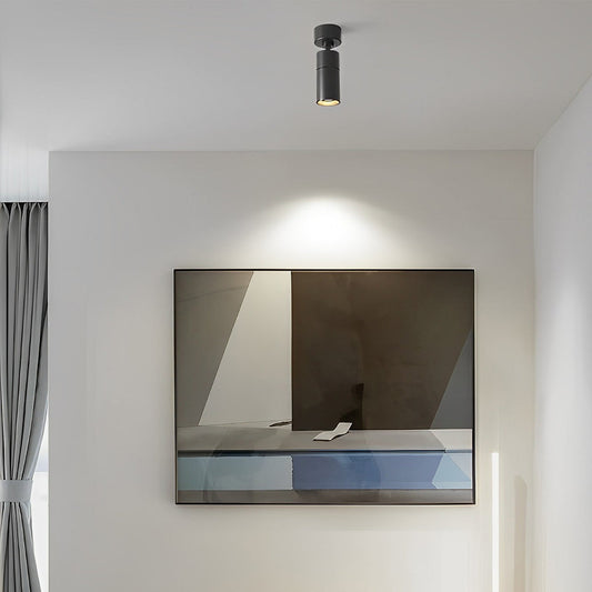 Surface Mounted Spot Light Modern Adjustable Angle Directional Light
